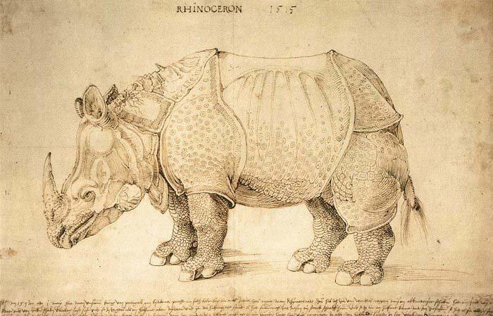 Albrecht Durer Rhinoceros oil painting image